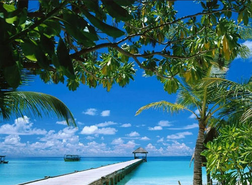 细数冬季好玩好看的12大看点