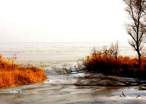 细数冬季好玩好看的12大看点